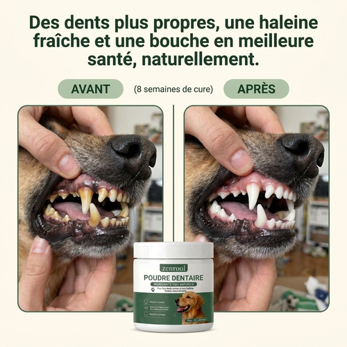 Poudre dentaire pour chien