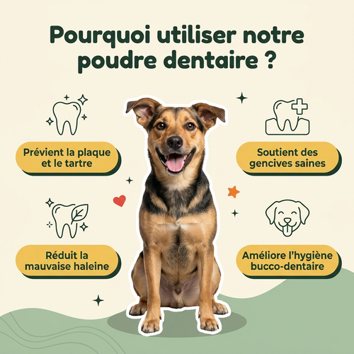 Poudre dentaire pour chien